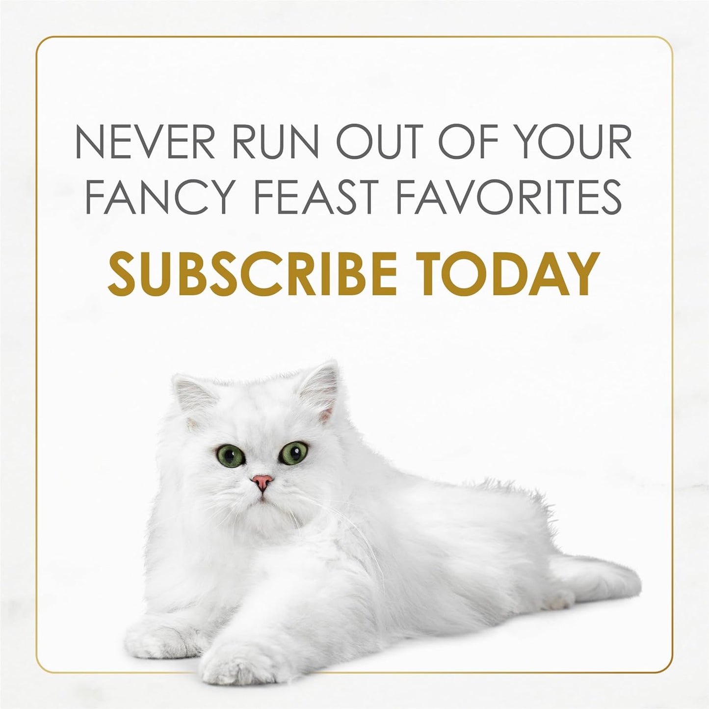 Purina  Gourmet Wet Cat Food Variety Pack, Petites Pâté Collection, Break-Apart Tubs, 12-Pack of 2.8 Oz. Tubs, 24 Servings