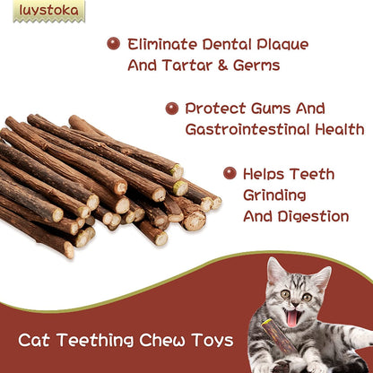 Silvervine and Matatabi Catnip Toy Set - 10-Piece Collection of Indoor Chew Sticks and Wand Toys for Engaging Cats