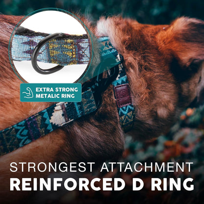 Embark Adventure Dog Collar – Stylish & Durable Nylon Dog Collars for Small Dogs, Comfortable Pet Collar, Small Dog Collars for Male & Female Dogs with Strong Buckles. Adjustable Small Dog Collars