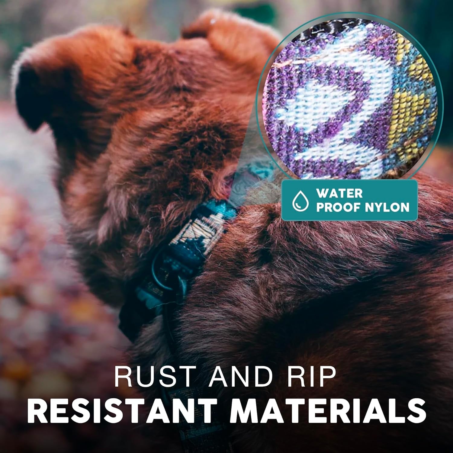 Embark Adventure Dog Collar – Stylish & Durable Nylon Dog Collars for Small Dogs, Comfortable Pet Collar, Small Dog Collars for Male & Female Dogs with Strong Buckles. Adjustable Small Dog Collars